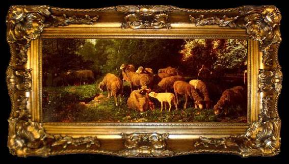 framed  unknow artist Sheep 149, ta009-2